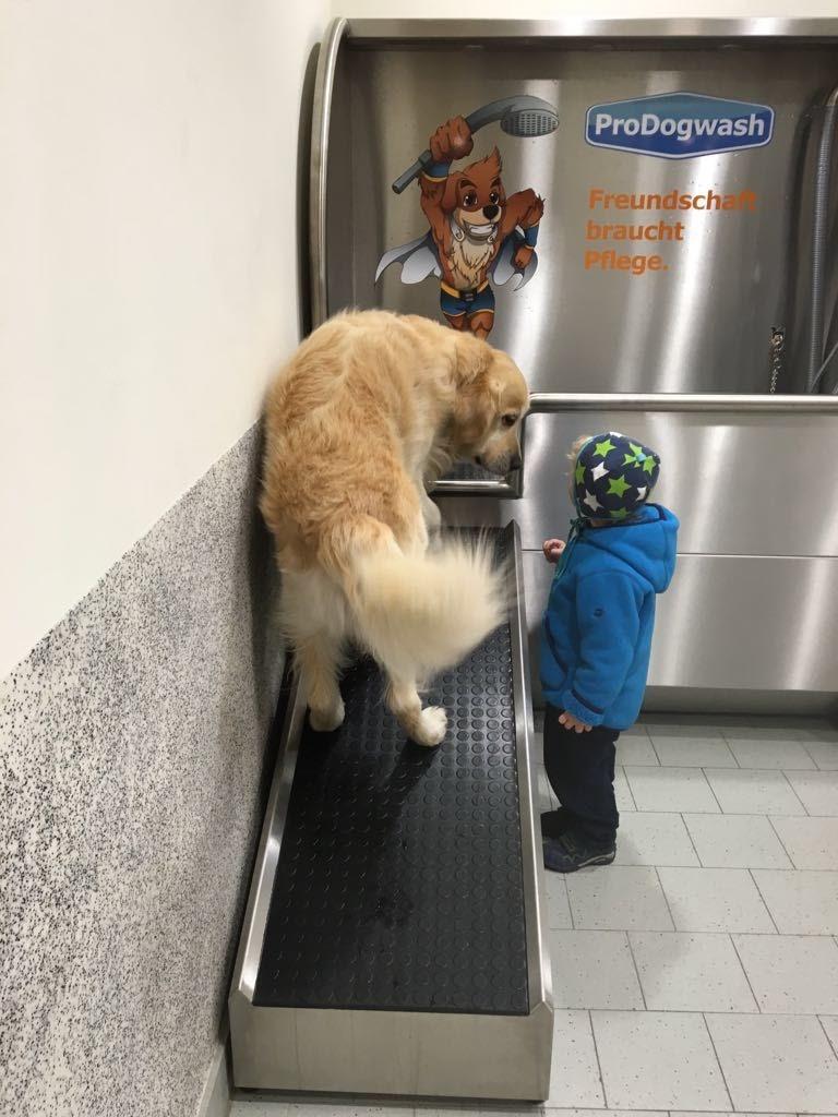 K1600_05-hundewaschanlage-fressnapf-ohz