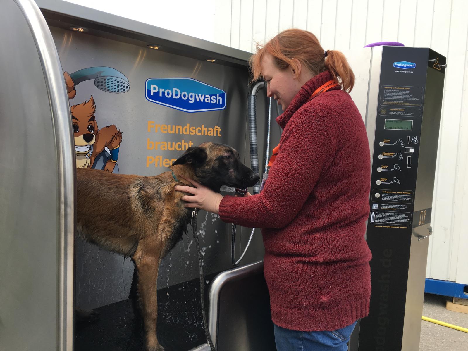 K1600_08-hundewaschanlage-halle-saale-fmbb-2017