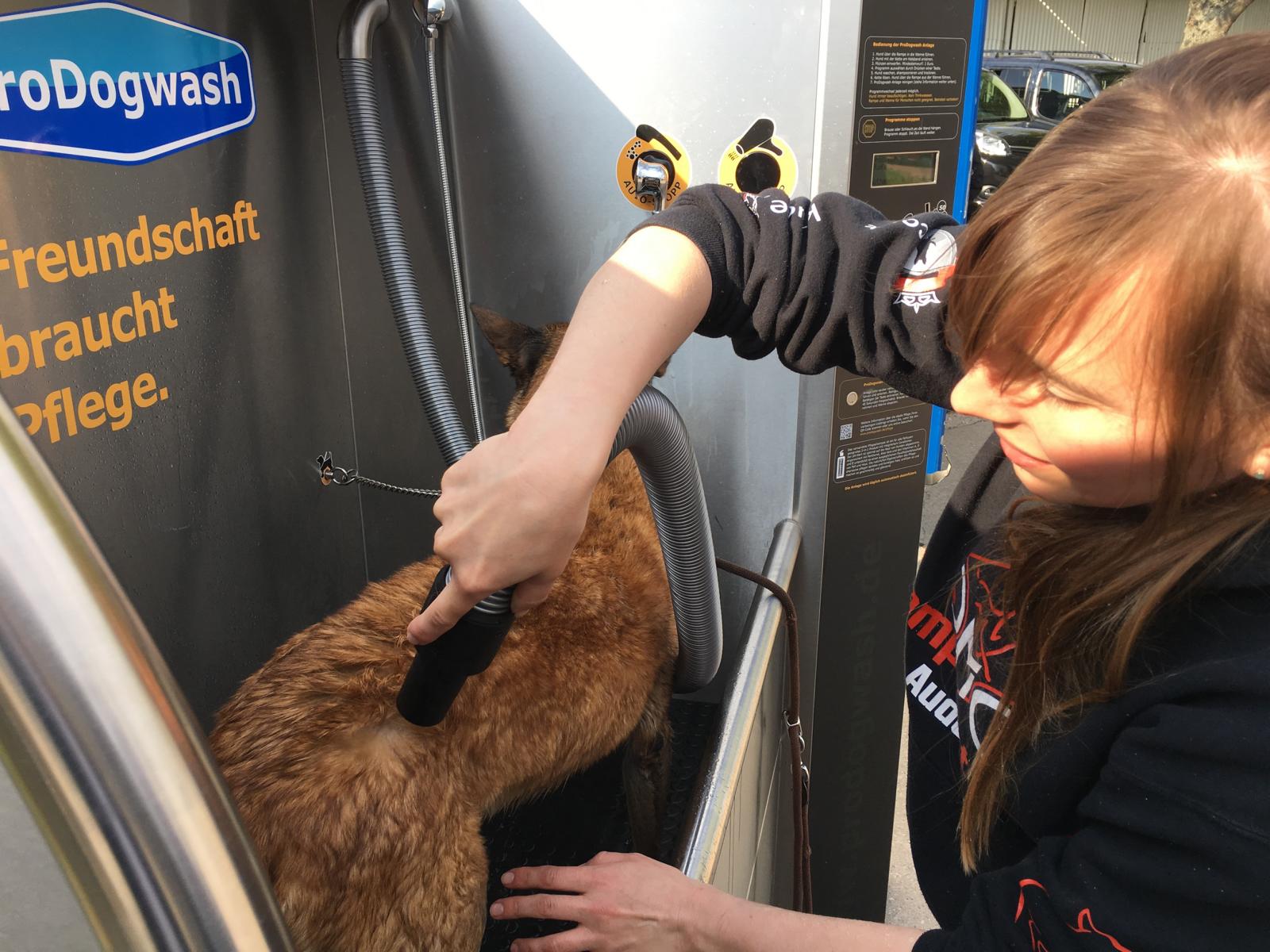 K1600_11-hundewaschanlage-halle-saale-fmbb-2017