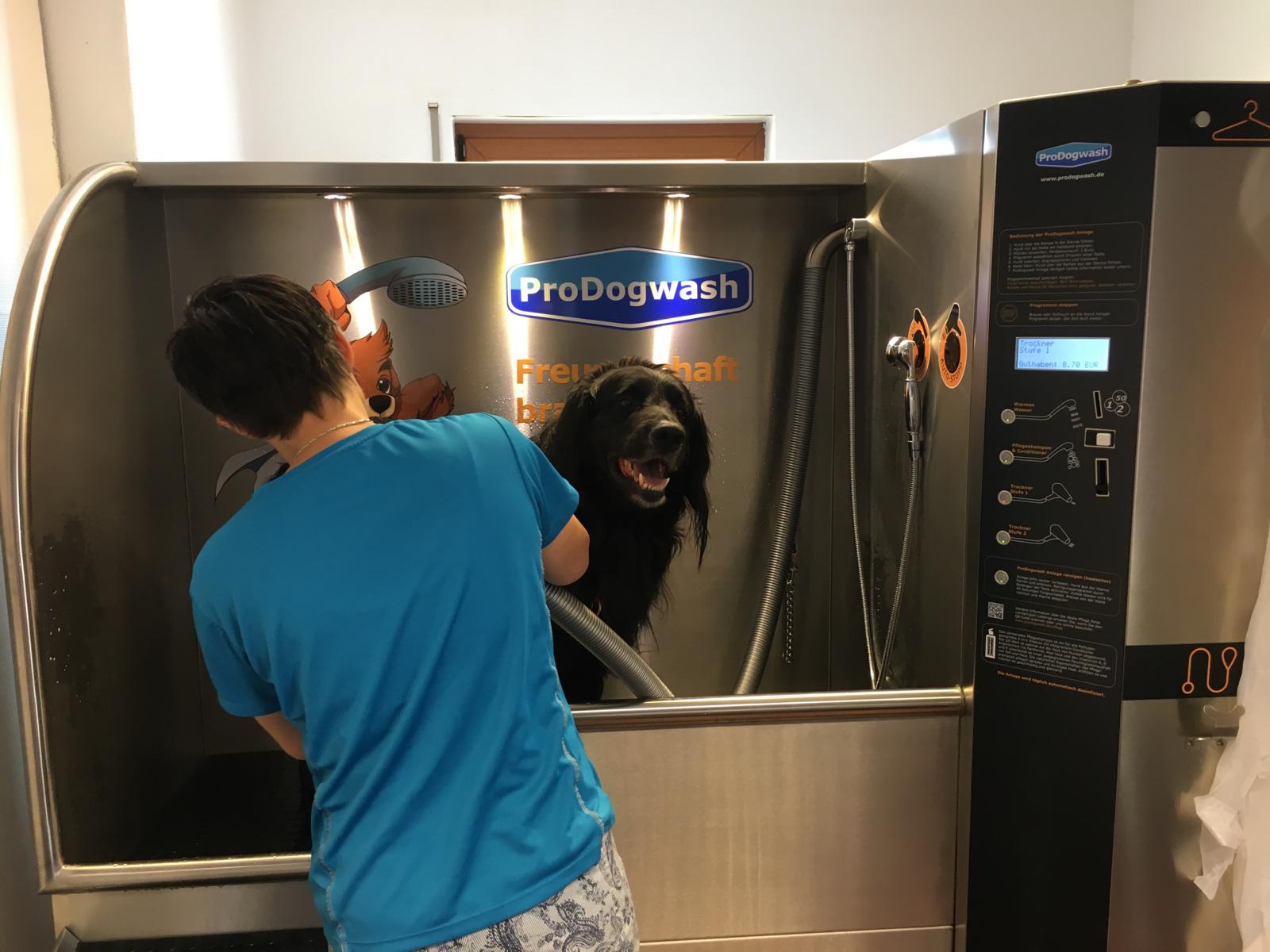K1600_12-hundewaschanlage-prodogwash