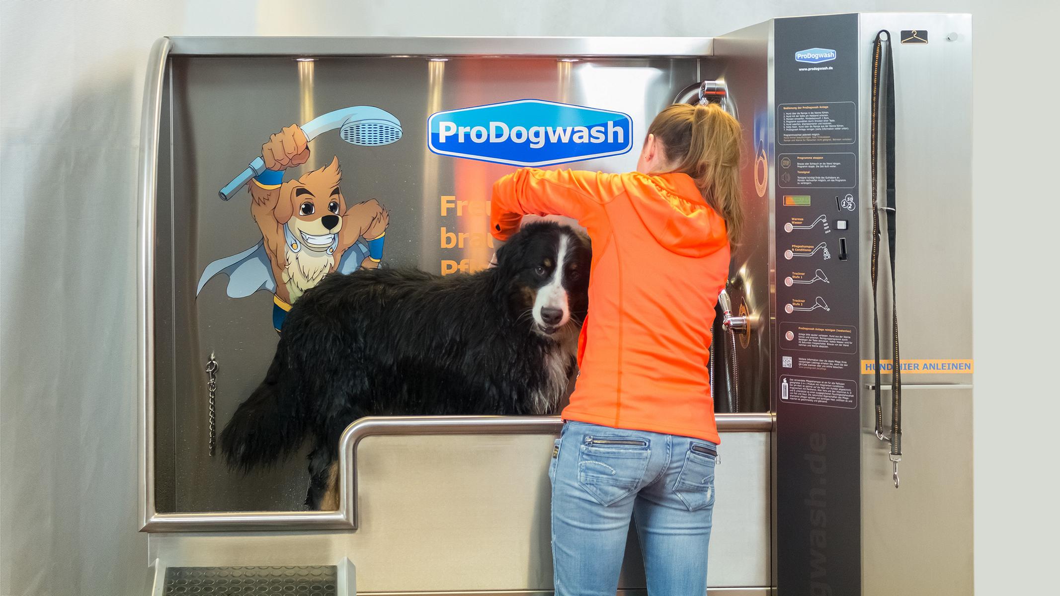 K1600_23-prodogwash-hundewaschanlage